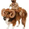 Rubies Costume Co. Inc Bantha Pet Costume