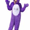 Fun Costumes Care Bears Adult Classic Share Bear Costume