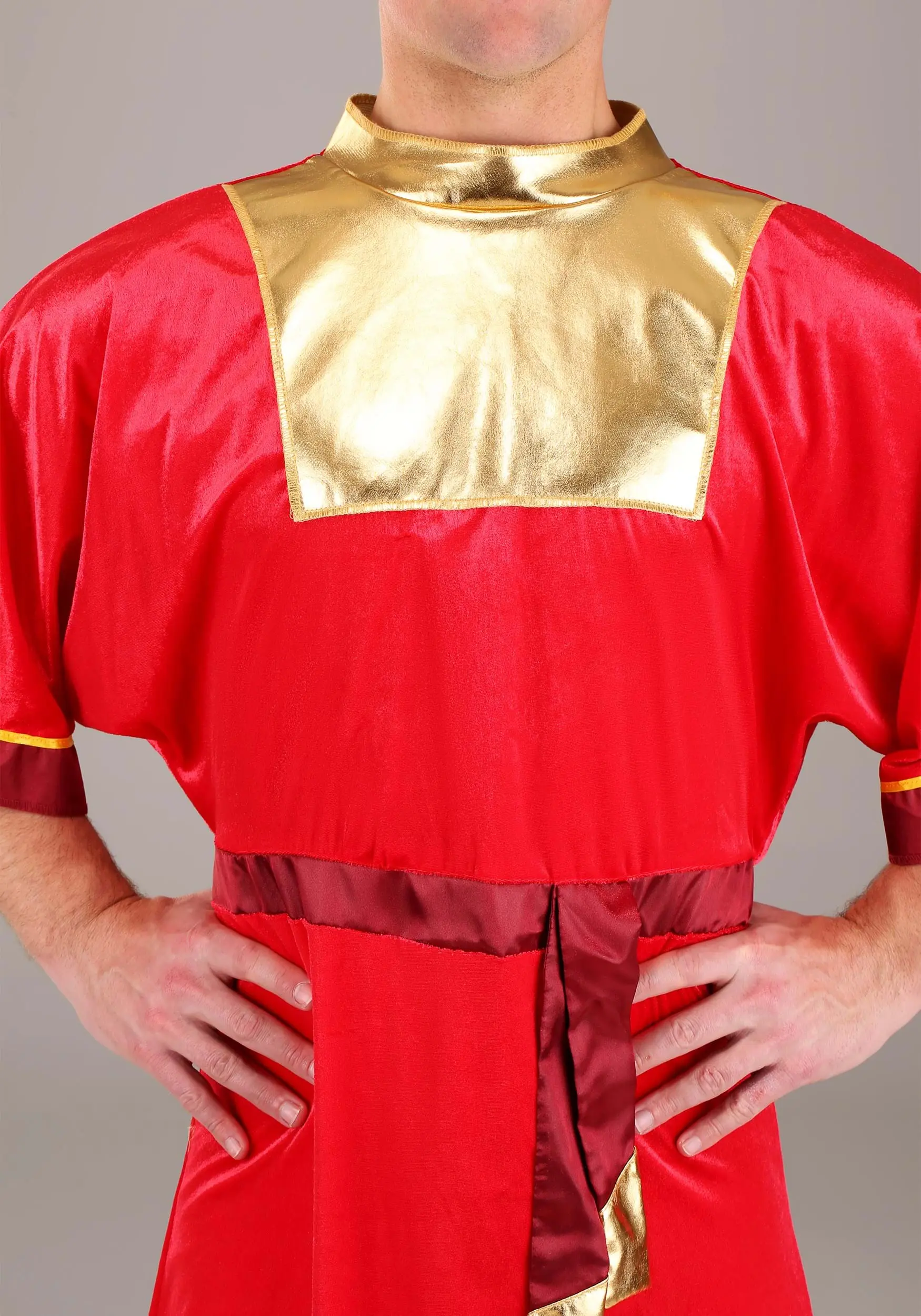 Disguise Limited Disney Emperor's New Groove Kuzco Men's Costume - Image 5