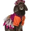 Rubies Costume Co. Inc Pet's Hocus Pocus Mary Sanderson Costume