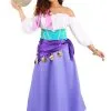 Disguise Limited Hunchback Of Notre Dame Esmeralda Costume