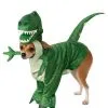 Rubies Costume Co. Inc Toy Story Rex Dog Costume