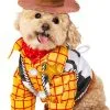 Rubies Costume Co. Inc Toy Story Woody Pet Costume