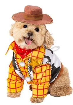 Rubies Costume Co. Inc Toy Story Woody Pet Costume